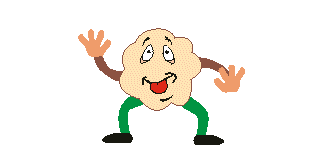 Mr. Poot